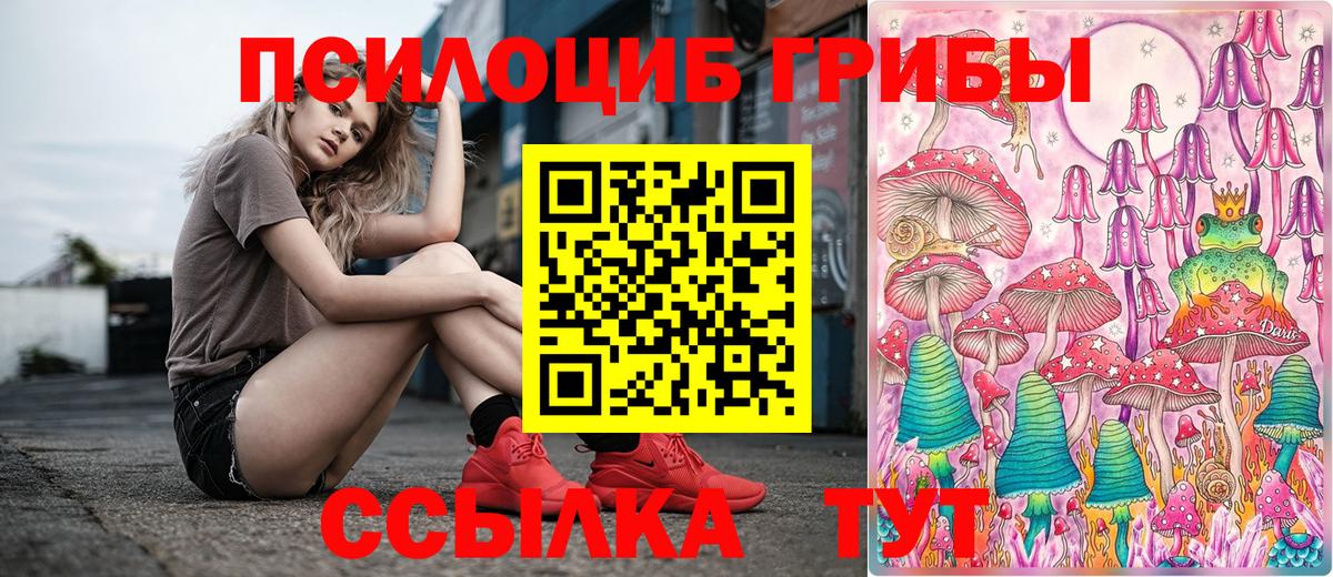Королёв  Галлюциногенные грибы мицелий  Вход с VPN 